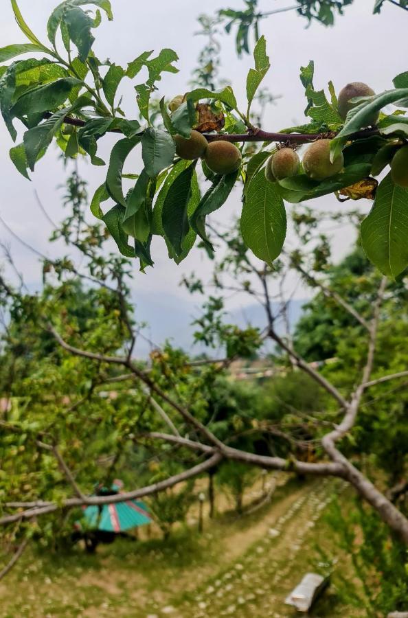 The Kanatal Arbour Luaran gambar