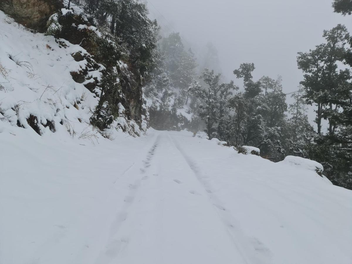 The Kanatal Arbour Luaran gambar